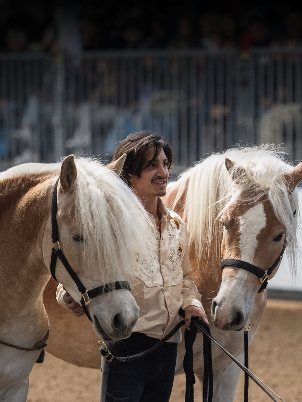 FIERACAVALLI VERONA - SAJAM KONJA