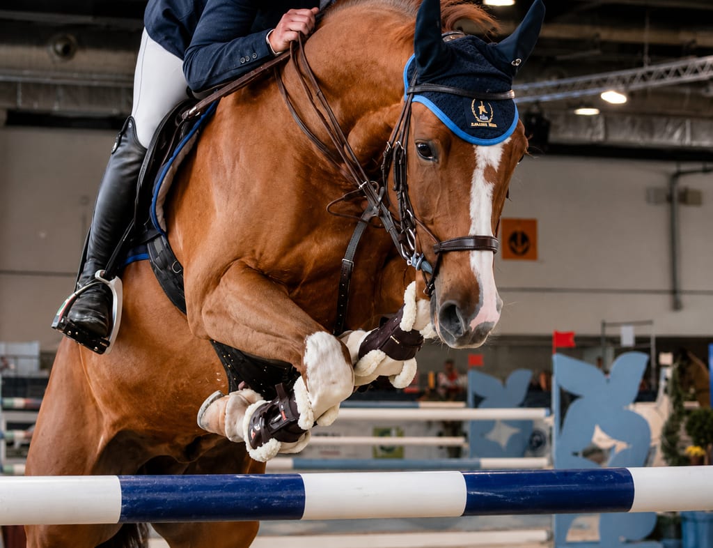 FIERACAVALLI VERONA - SAJAM KONJA
