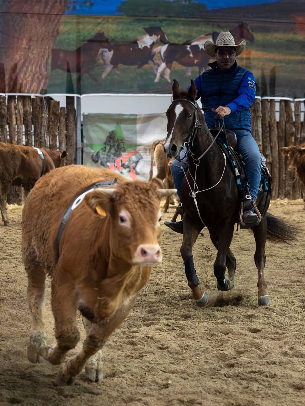 FIERACAVALLI VERONA - SAJAM KONJA