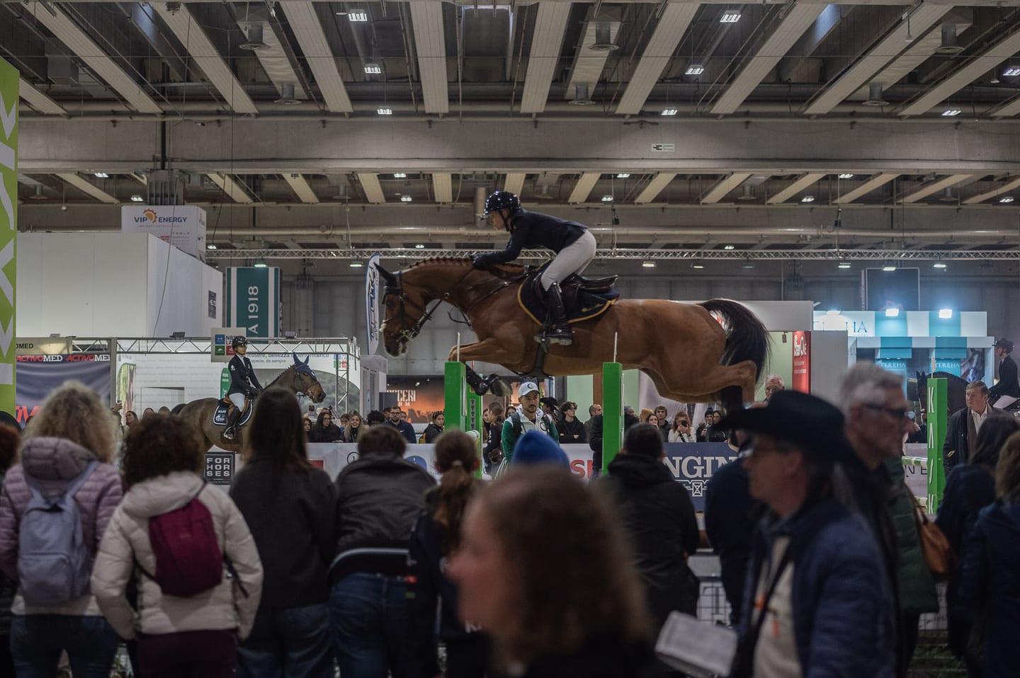 FIERACAVALLI VERONA - SAJAM KONJA